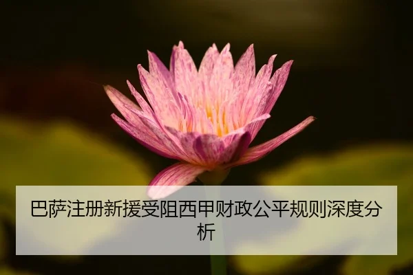 ba-sa-zhu-ce-xin-yuan-shou-zu-xi-jia-cai-zheng-gong-ping-gui-ze-shen-du-fen-xi-2-169.jpg